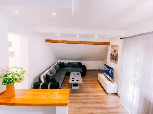 Apartman Aleksandar Lux Palic Exterior photo