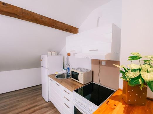 Apartman Aleksandar Lux Palic Exterior photo